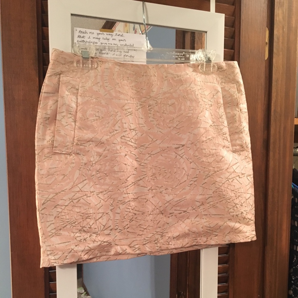 Anthropologie HD in Paris skirt small 2-4 blush